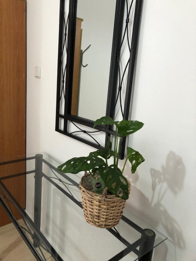 Moschoula Studios Plaka Plaka  Zewnętrze zdjęcie